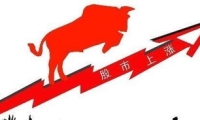 伊拉克人口普查数据出炉 全国人口达4611